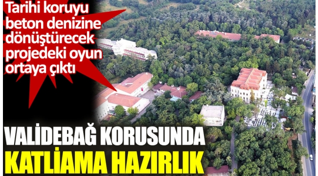 Validebağ korusunda katliama hazırlık.