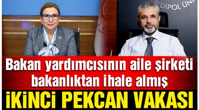 AK Partide Yeni Pekcan vakası