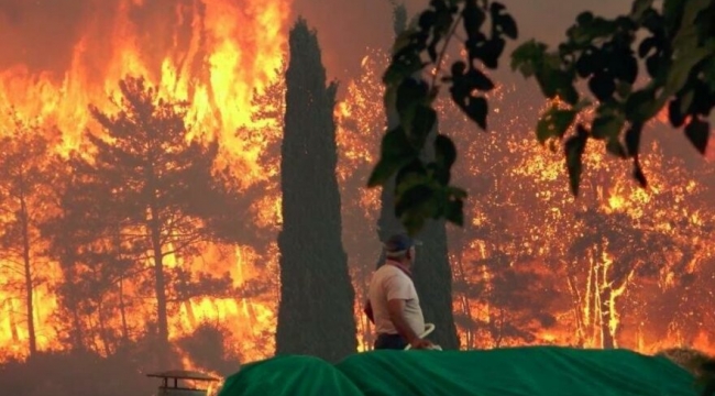 Ormanlar yanarken kayyum THK başkanı düğüne gitmiş