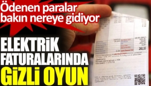Elektrik faturalarında gizli oyun. Ödenen paralar bakın nereye gidiyor