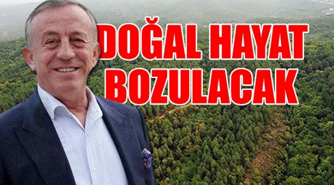 Ağaoğlundan Milasta doğa katliamı: 30 bin kişilik kent kurulacak