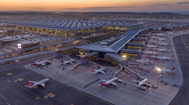 Ağaçların kesildiği İstanbul Havalimanı arazisinde orman bilmecesi