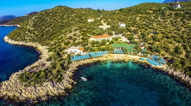 Son Torbadan kimlere piyango çıktı? Deniz kıyısındaki ormanlık alanlara tesis yapılabilecek