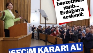 Meral Akşener Erdoğan'a çağrı yaptı: Seçim kararı al