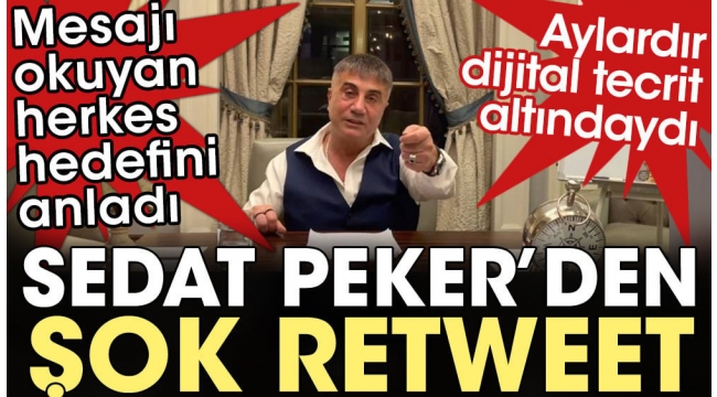 Sedat Peker'den şok retweet. Mesajı okuyan herkes hedefini anladı