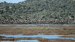 Sulak alana golf tesisi: Bakanlık onay verdi 