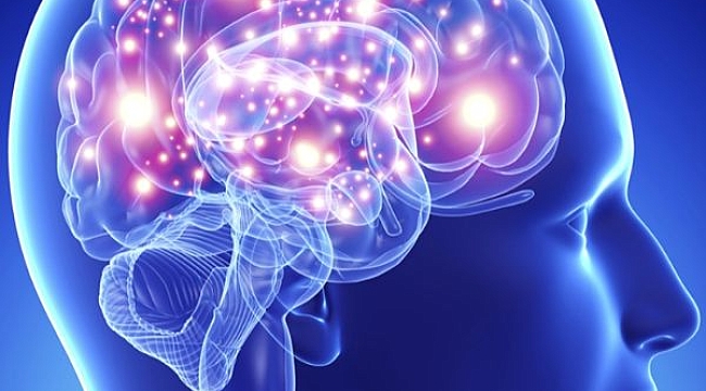 Beynin Kendini İyileştirme Yeteneği Öğrenme Güçlüğüne Umut Oluyor