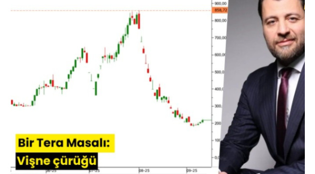 Bir Tera Masalı: Vişne çürüğü