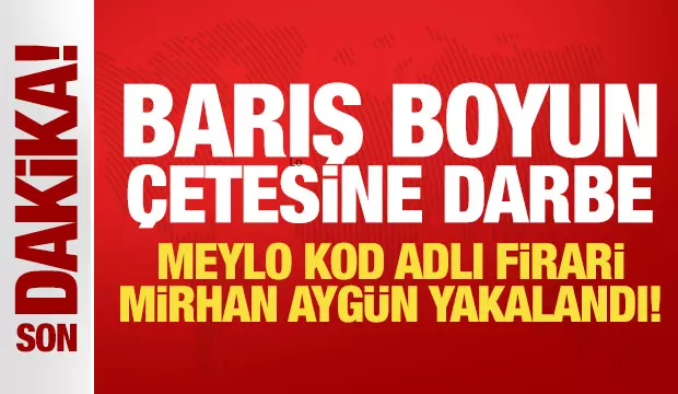 Barış Boyun çetesine darbe: Meylo kod adlı firari Mirhan Aygün yakalandı!