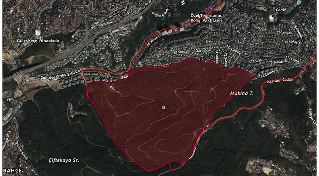 Beykoz'un ciğerleri imara açıldı